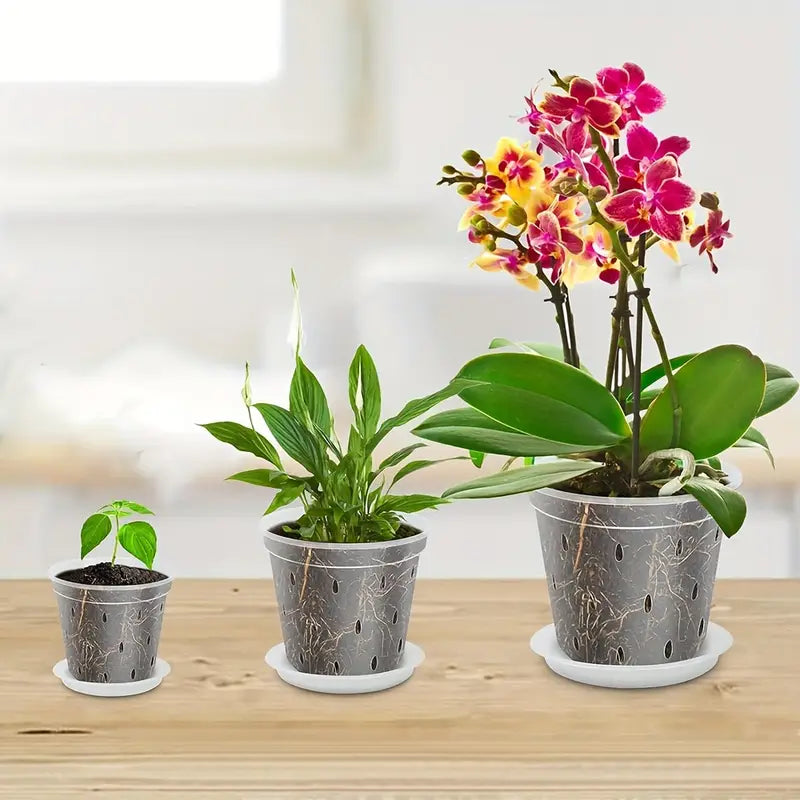 Orchid Grower's Pot