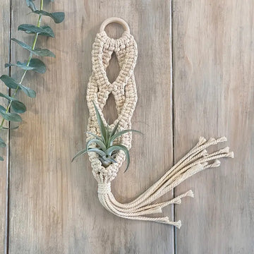 Air Plant Macrame Holder