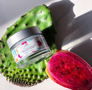 Cactus Concentrate Beauty Cream